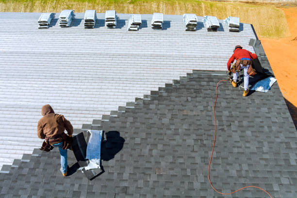 Best Roof Gutter Cleaning  in Idylwood, VA