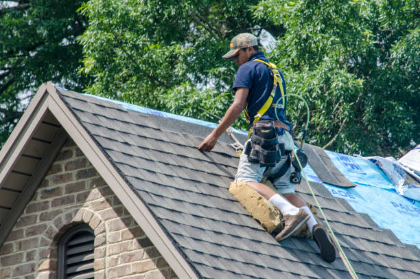Best Roof Leak Repair  in Idylwood, VA